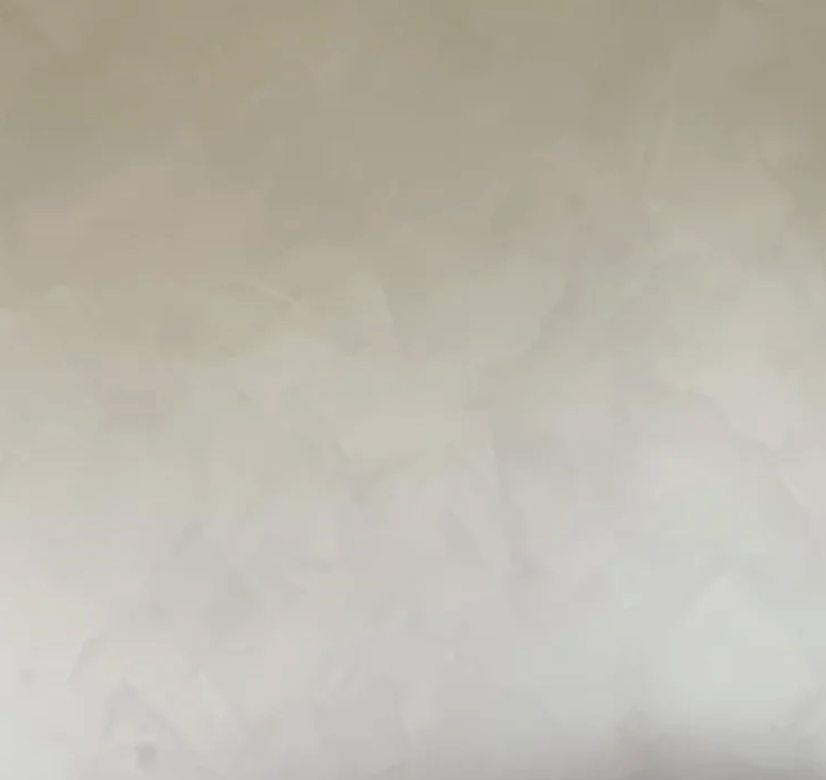 Limewash & Organic decorative wall finish sample
